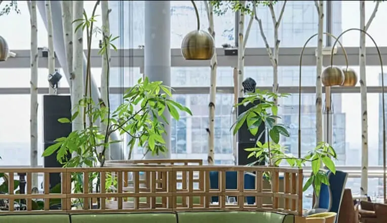 Высота 57 Lounge